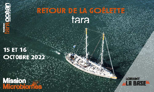 REJOIGNEZ L’ARMADA DE LA GOÉLETTE TARA ! le 15 octobre